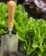 Transplanting Trowel half round