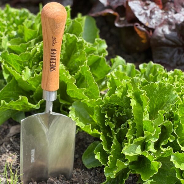 Transplanting Trowel half round