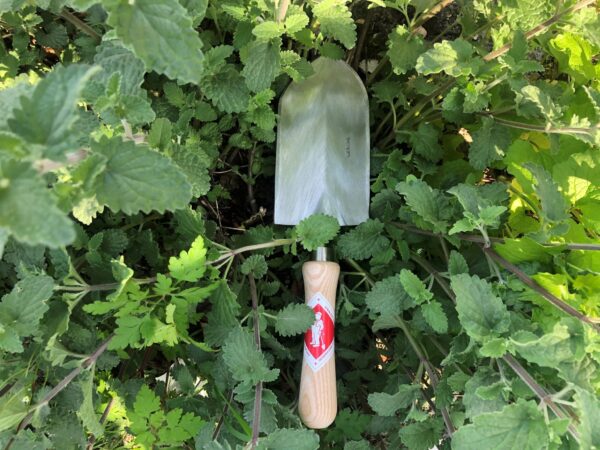 Pelle à transplanter à main demi-ronde