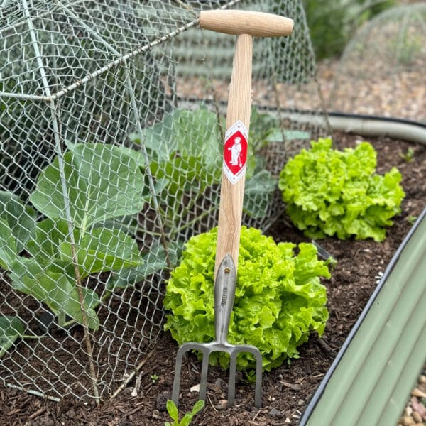Great Dixter Fork 4t