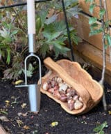 Plantoir à bulbe