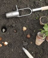 Plantoir à bulbe
