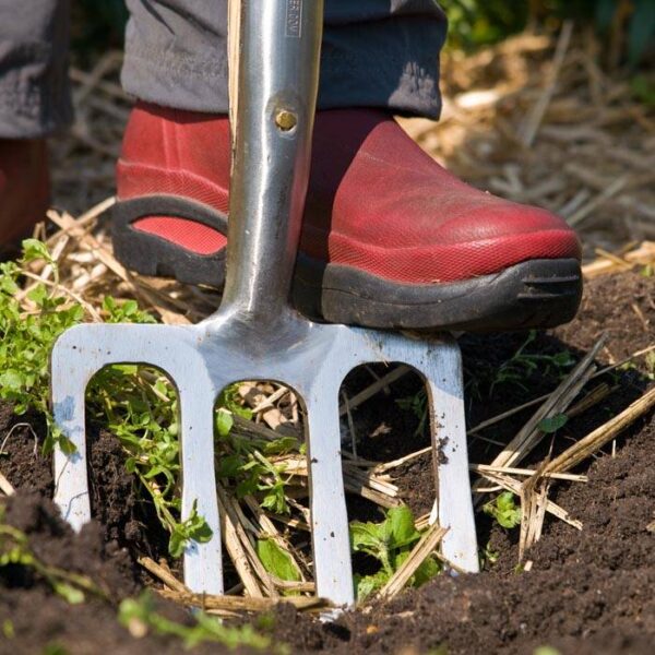 Border Fork 4t