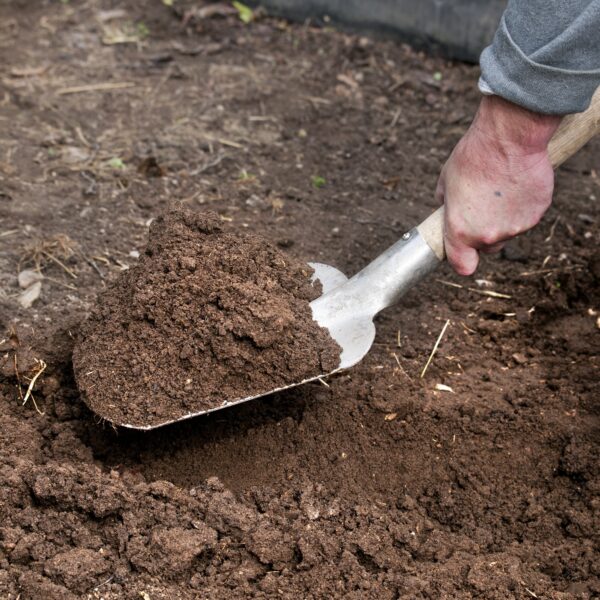 Shovel 20 cm