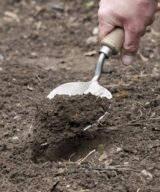 Planting Trowel Old Dutch Style