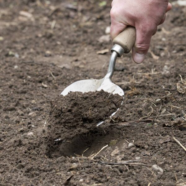 Planting Trowel Old Dutch Style
