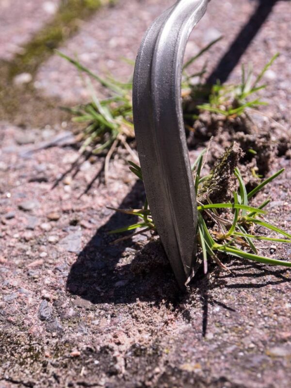 Raised Bed Stone Scratcher