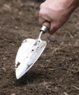 Pelle à transplanter à main