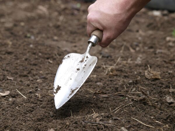 Pelle à transplanter à main