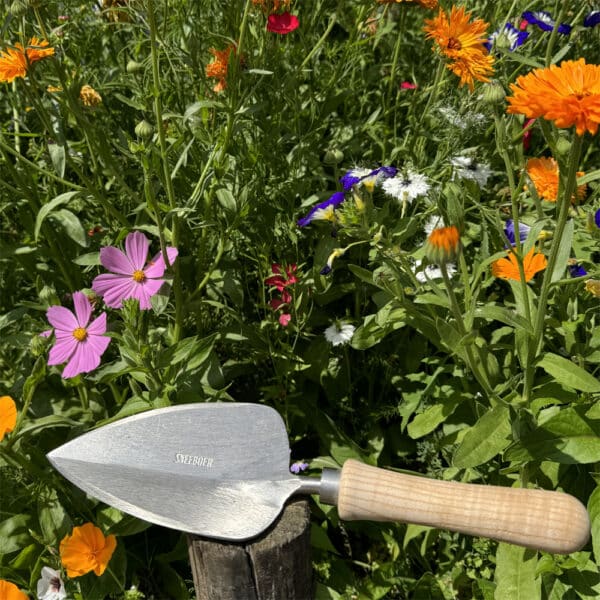 Pelle à transplanter à main
