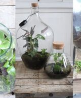Terrariumgabel 64 cm