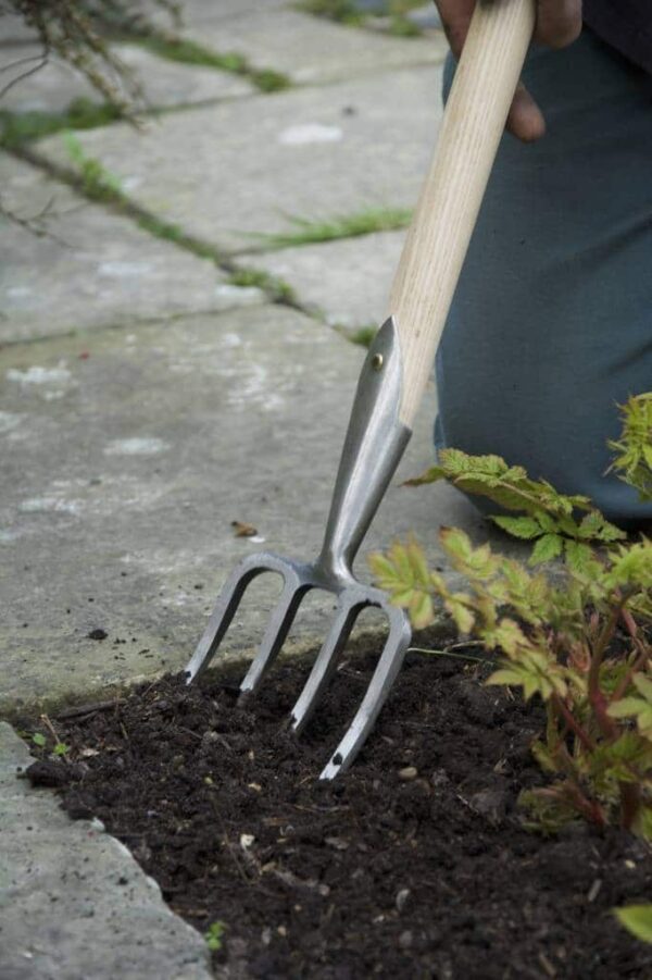 Great Dixter Fork 4t