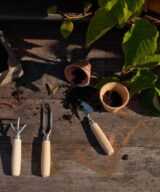 Greenhouse Weeding Fork