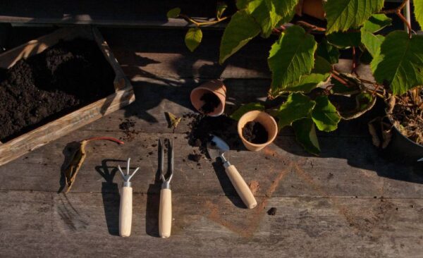 Greenhouse Weeding Fork