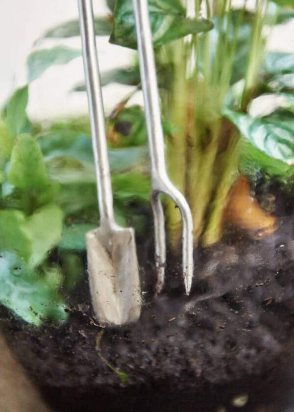 Terrarium Spaten mit Stampfer