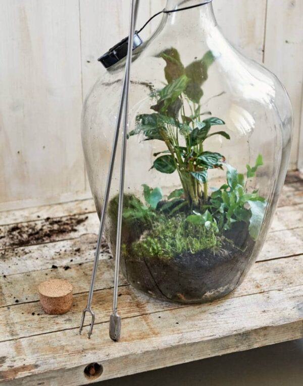 Terrarium Spaten mit Stampfer