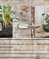 Terrarium Spaten mit Stampfer