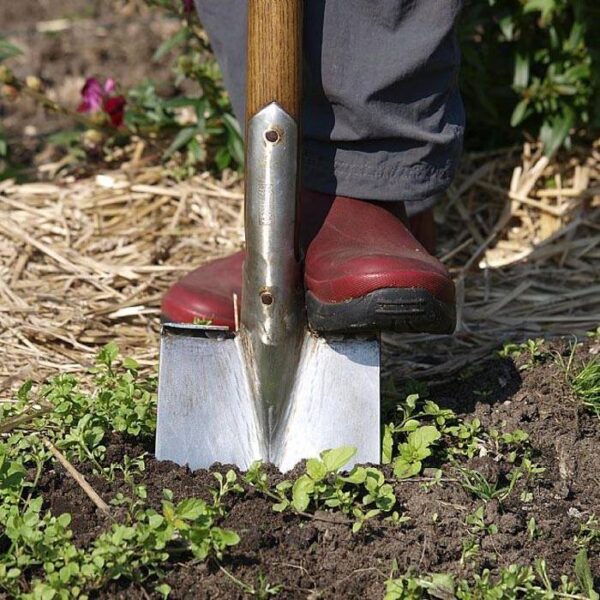 Vintage Spade