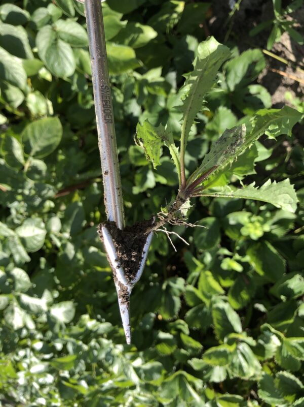 Wrotter pour potager surélevé