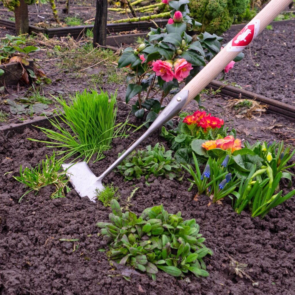 Gartenscharre