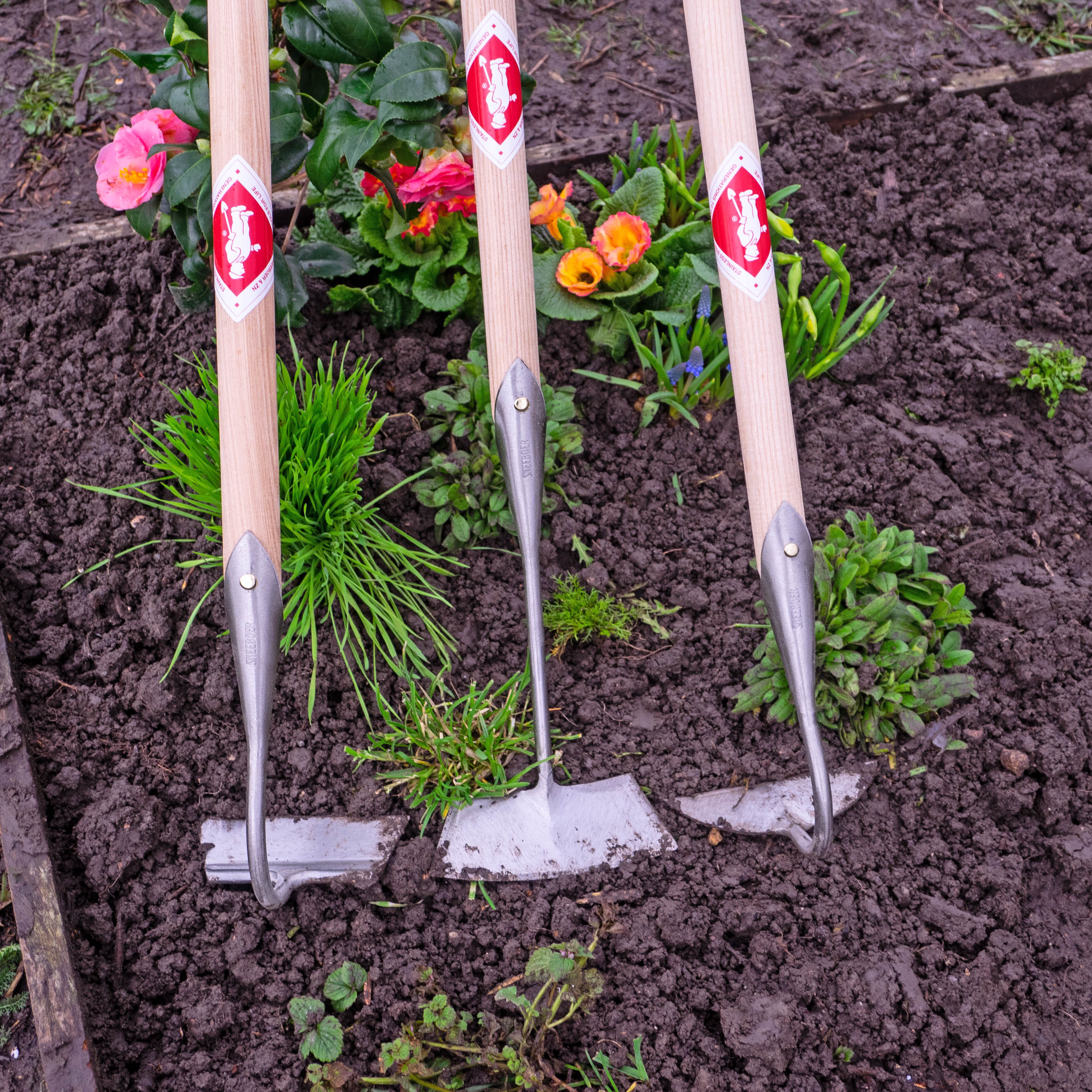 Die Bedeutung des Unkrautjätens: Ein grüner Garten beginnt bei den Wurzeln