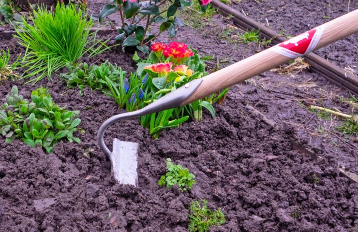 Gartentipps im Frühjahr: die Grundlage für einen Sommer voller Blumen schaffen