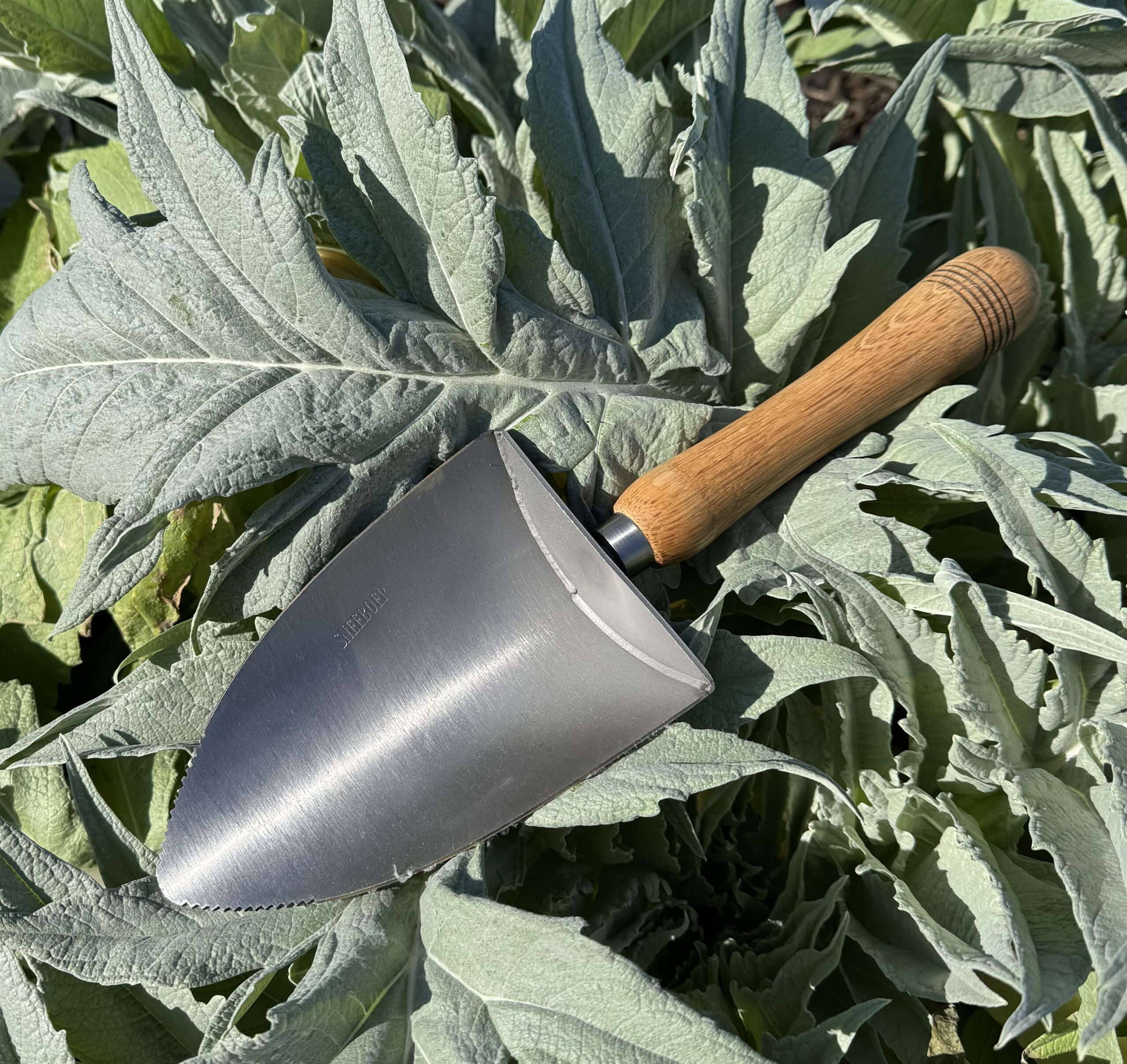 Neu von Sneeboer: Die Garden Scoop – nominiert für das Sustainable Garden Product of the Year auf der Chelsea Flower Show 2025